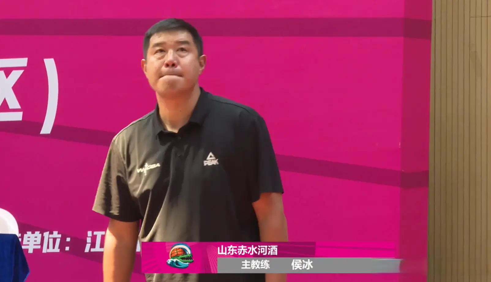 entit, msn entit, msn