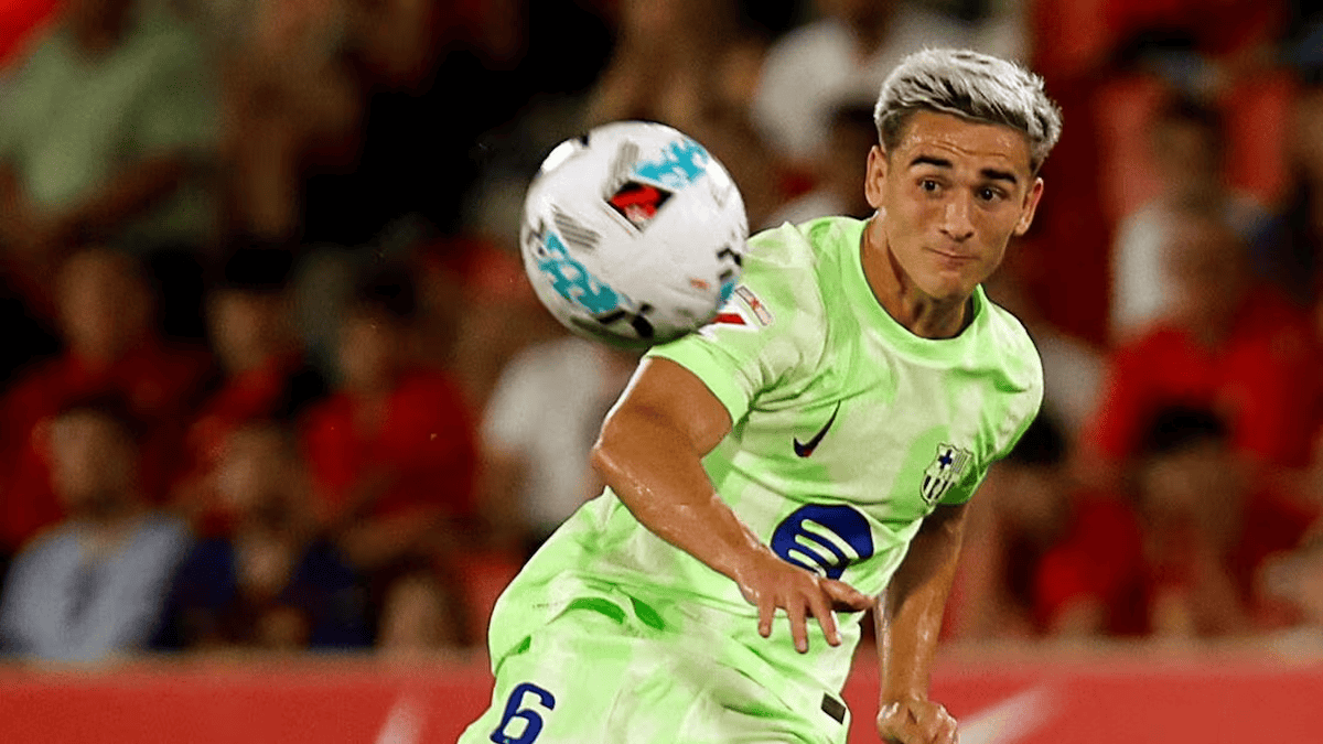 他清楚地意, 不出现任何 他清楚地意, 不出现任何