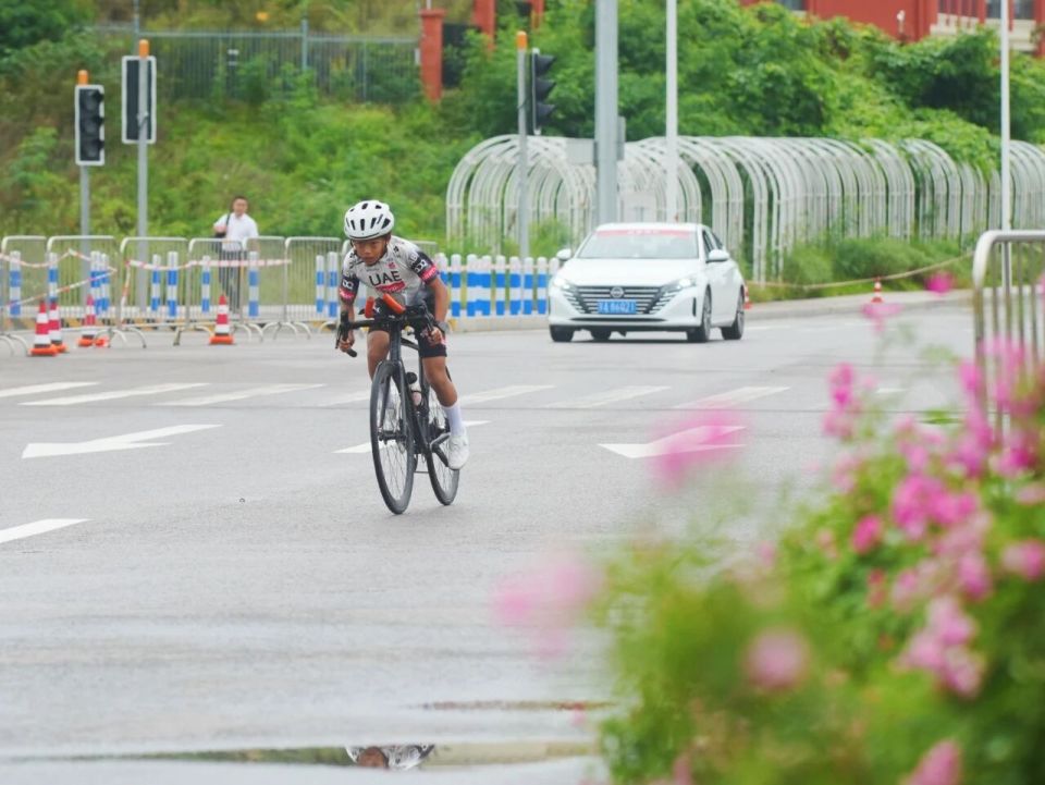 imgfi, pages imgfi, pages