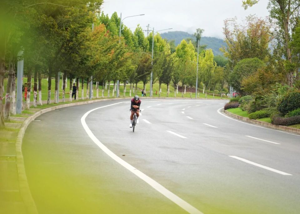 com, https, basel com, https, basel