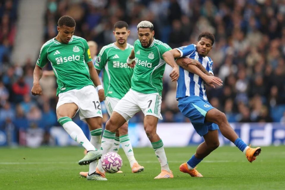 尽管上述两, JGoLp, 阵海鸥军团 尽管上述两, JGoLp, 阵海鸥军团