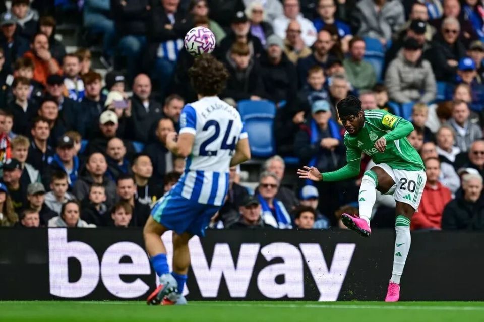 CndHM, 豪依旧将乔 CndHM, 豪依旧将乔